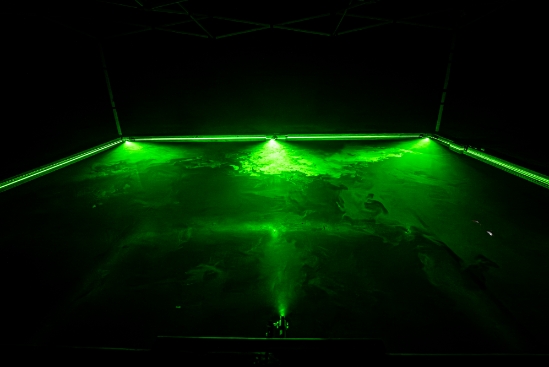Laser Swamp®- Pro Package - LASER-SWAMP-PRO-GREEN