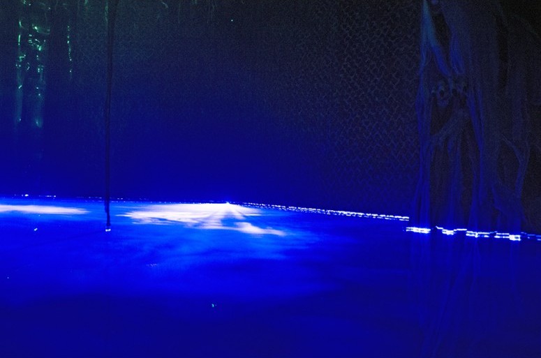 Laser Swamp®- Pro Package - LASER-SWAMP-PRO-GREEN