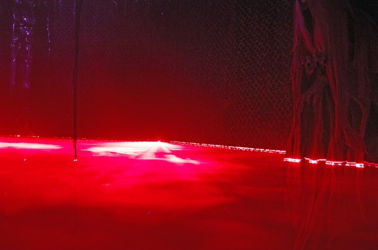 Laser Swamp®- Pro Package - LASER-SWAMP-PRO-GREEN