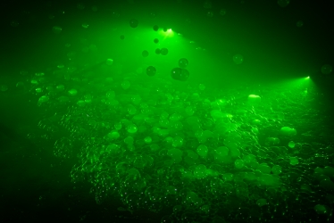 Laser "Toxic" Bubbles Effect- Pro Package  Laser Swamp, Laser Floor, Laser Ceiling, Laser Wall, Laser Maze, Bubbles, Fobble, Toxic Bubbles, Theatrical Effect
